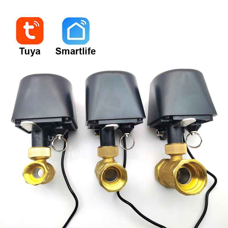 Smart Home Google Assistant - Tuya WiFi atau Zigbee Katup Air