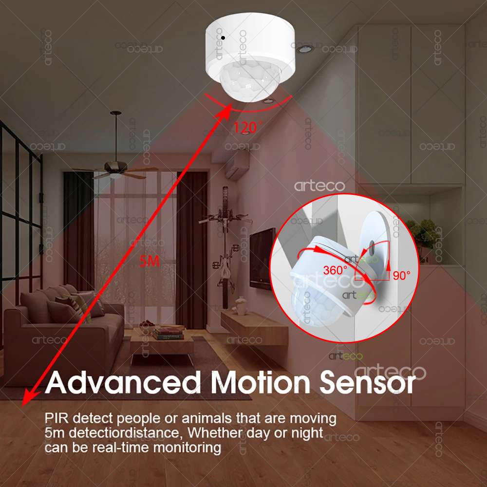 Ewelink Zigbee PIR Sensor Gera - Smart Home Google Assistant ulasan dan harga