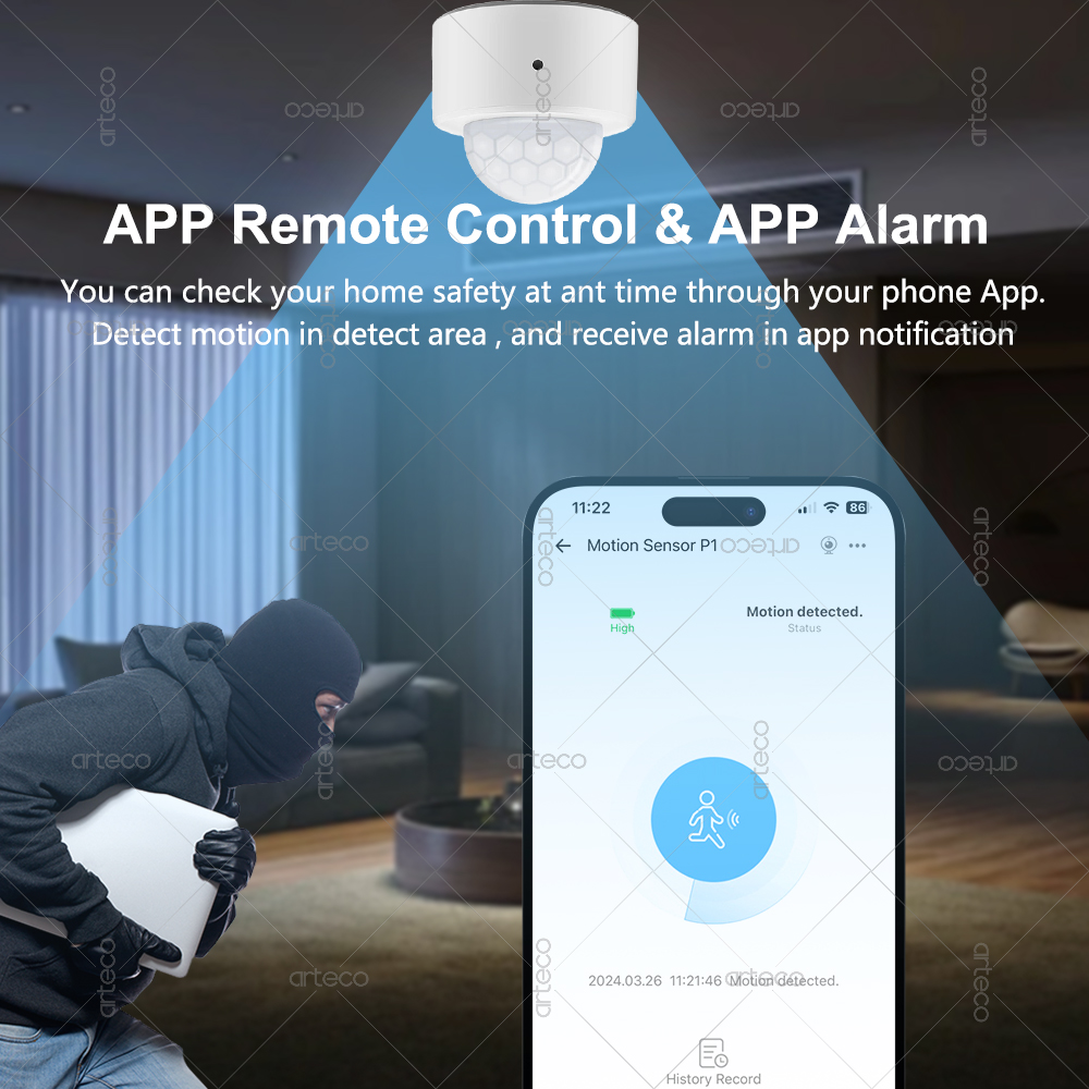 Ewelink Zigbee PIR Sensor Gera - Smart Home Google Assistant ulasan dan harga