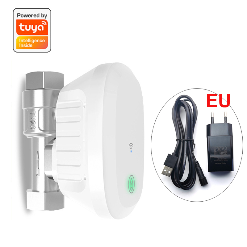 Meteran Katup WiFi Pintar, Pen - Smart Home Google Assistant ulasan dan harga
