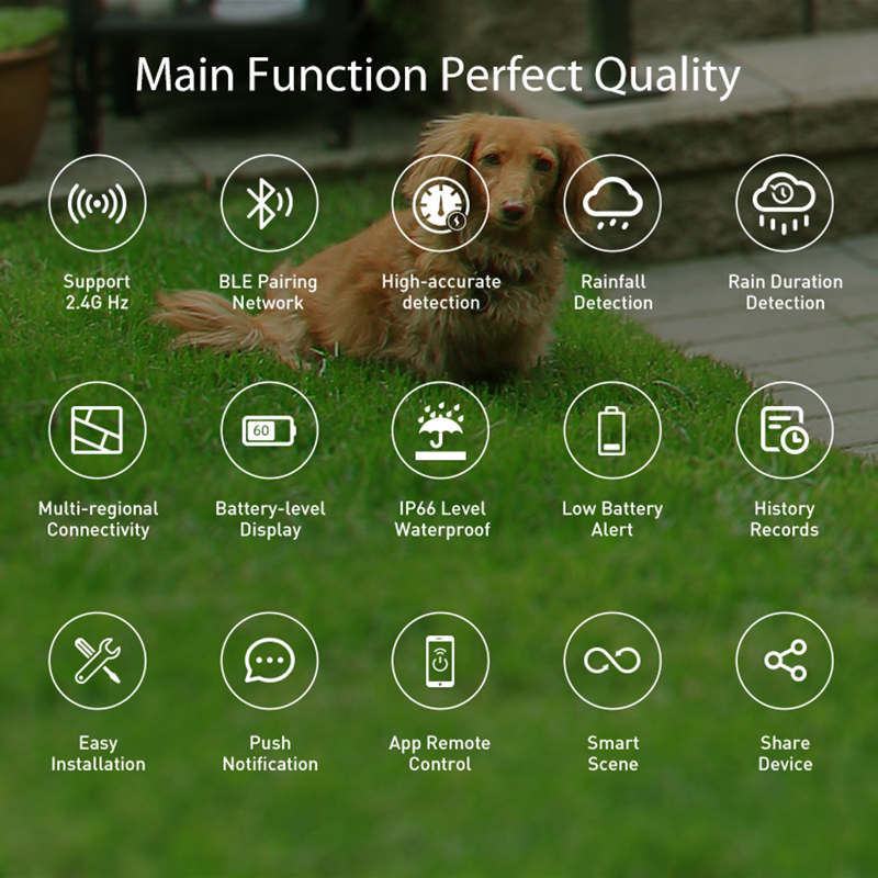Sensor Hujan WiFi Deteksi Dura - Smart Home Nas ulasan dan harga